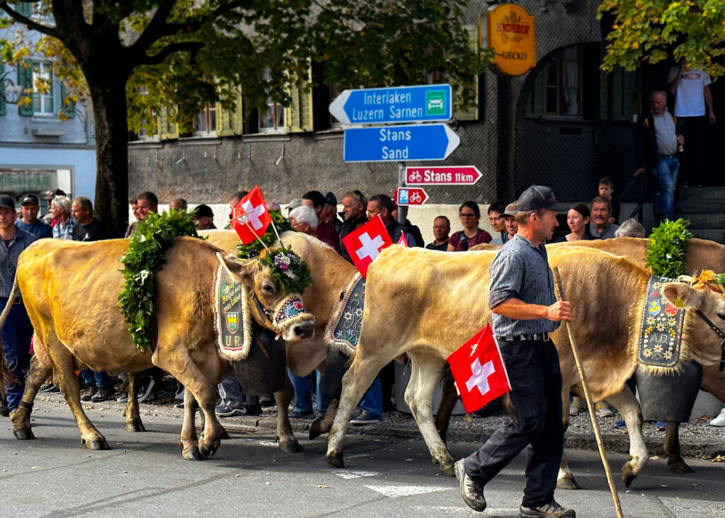 Alpabzug, Kerns, Svájc 2023